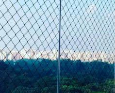 Redes de proteção em Ibirapuera